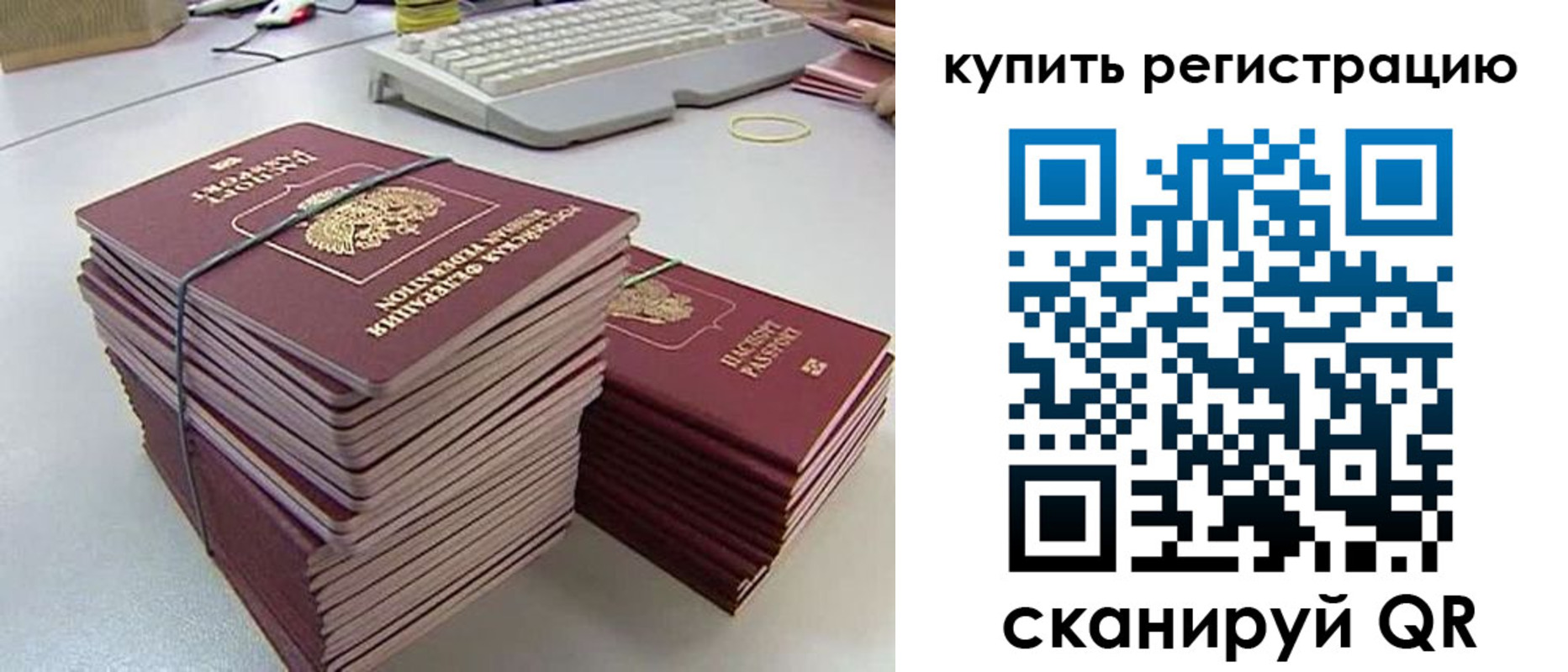 регистрация для школы в Мончегорске
